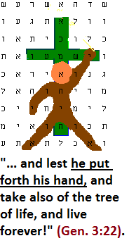 Picture Bible Code of Adam reaching for tree of life...
