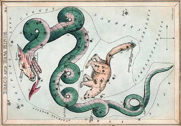 Constellation draco (dragon) Sheol Bible Code